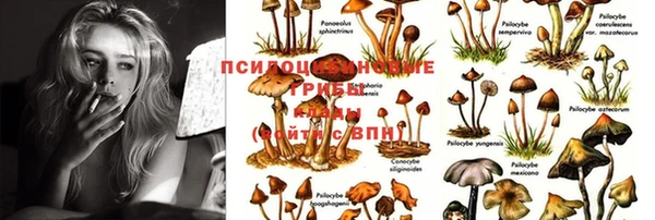 MESCALINE Богородицк